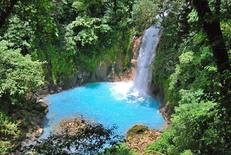 Xxx Blue Paradise - Rio Celeste Dreams Bijagua Exteriör bild