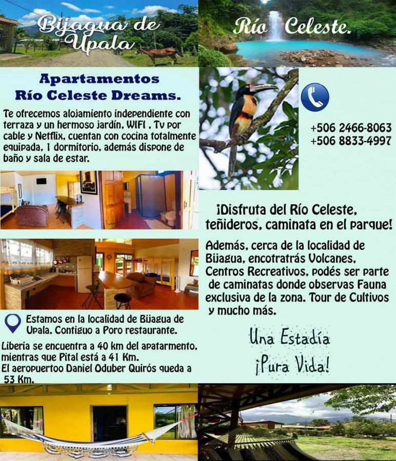 Xxx Blue Paradise - Rio Celeste Dreams Bijagua Exteriör bild